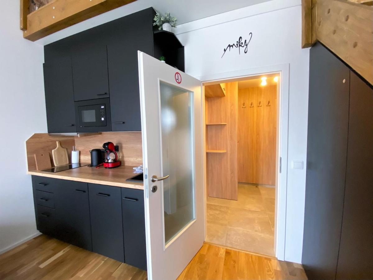 Miky Apartman Klinovec View Loucna pod Klinovcem Exterior photo