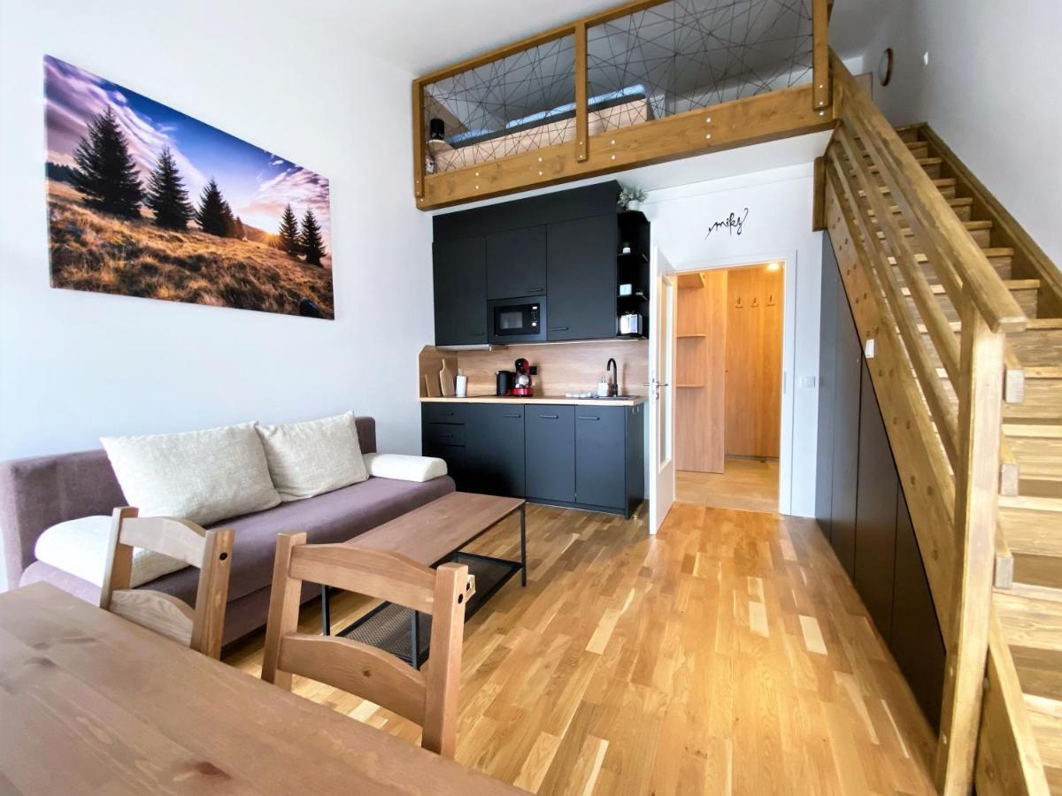 Miky Apartman Klinovec View Loucna pod Klinovcem Exterior photo